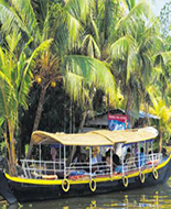 Kerala landscape and culture